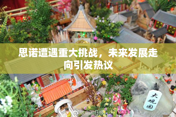 思诺遭遇重大挑战，未来发展走向引发热议