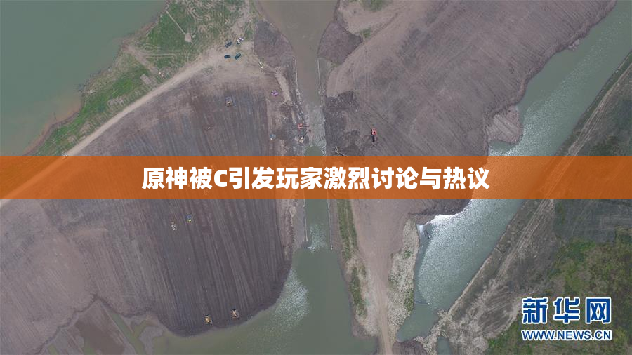 原神被C引发玩家激烈讨论与热议