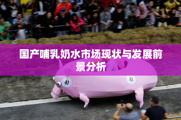 国产哺乳奶水市场现状与发展前景分析