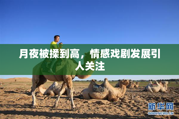 月夜被揉到高，情感戏剧发展引人关注