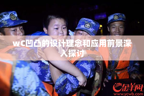 wC凹凸的设计理念和应用前景深入探讨