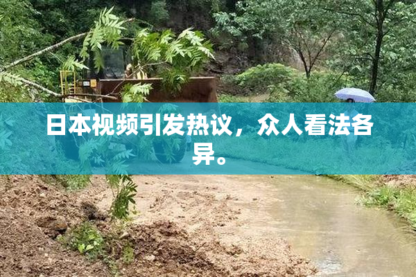 日本视频引发热议，众人看法各异。