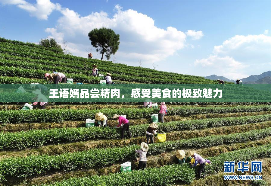 王语嫣品尝精肉，感受美食的极致魅力