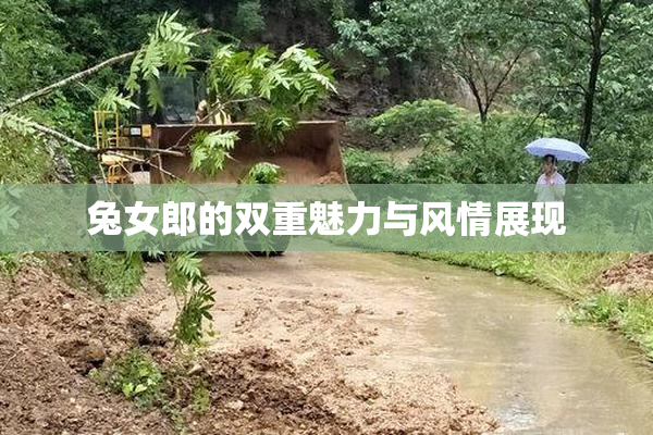 兔女郎的双重魅力与风情展现