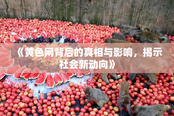 《黄色网背后的真相与影响，揭示社会新动向》