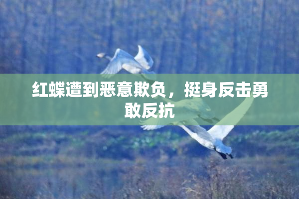 红蝶遭到恶意欺负，挺身反击勇敢反抗