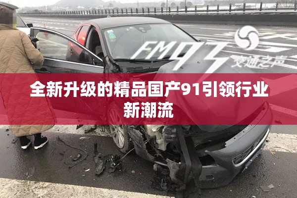 全新升级的精品国产91引领行业新潮流