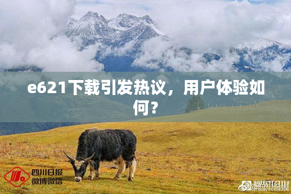 e621下载引发热议，用户体验如何？