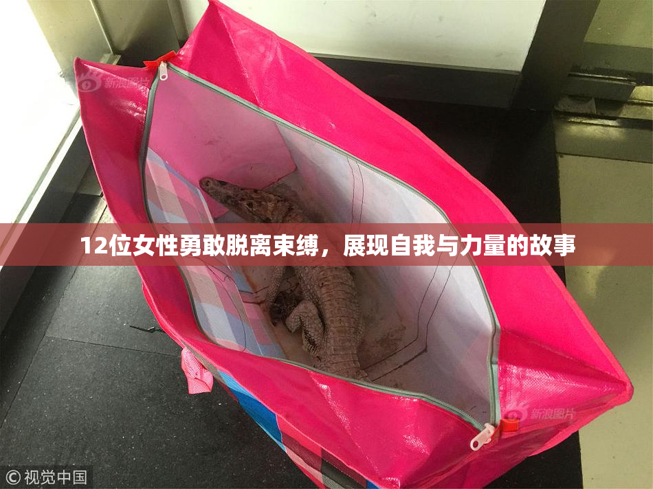 12位女性勇敢脱离束缚，展现自我与力量的故事