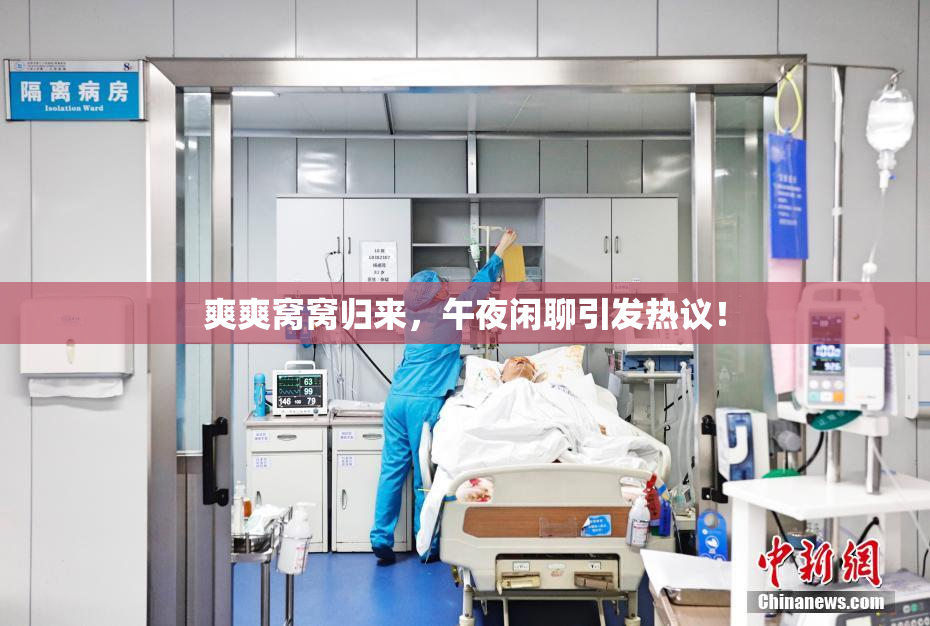 爽爽窝窝归来，午夜闲聊引发热议！