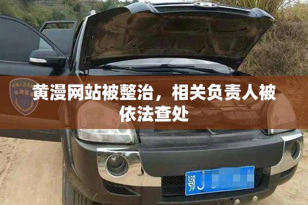 黄漫网站被整治，相关负责人被依法查处