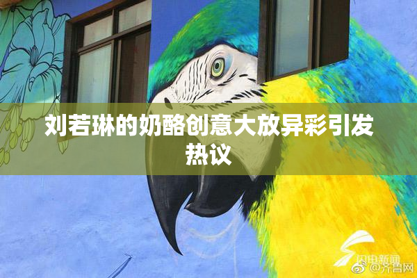 刘若琳的奶酪创意大放异彩引发热议
