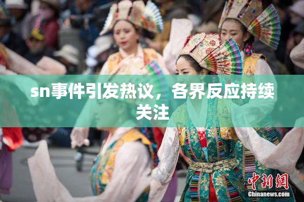 sn事件引发热议，各界反应持续关注