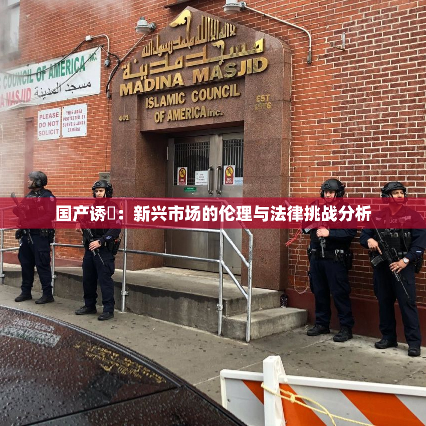 国产诱奷：新兴市场的伦理与法律挑战分析