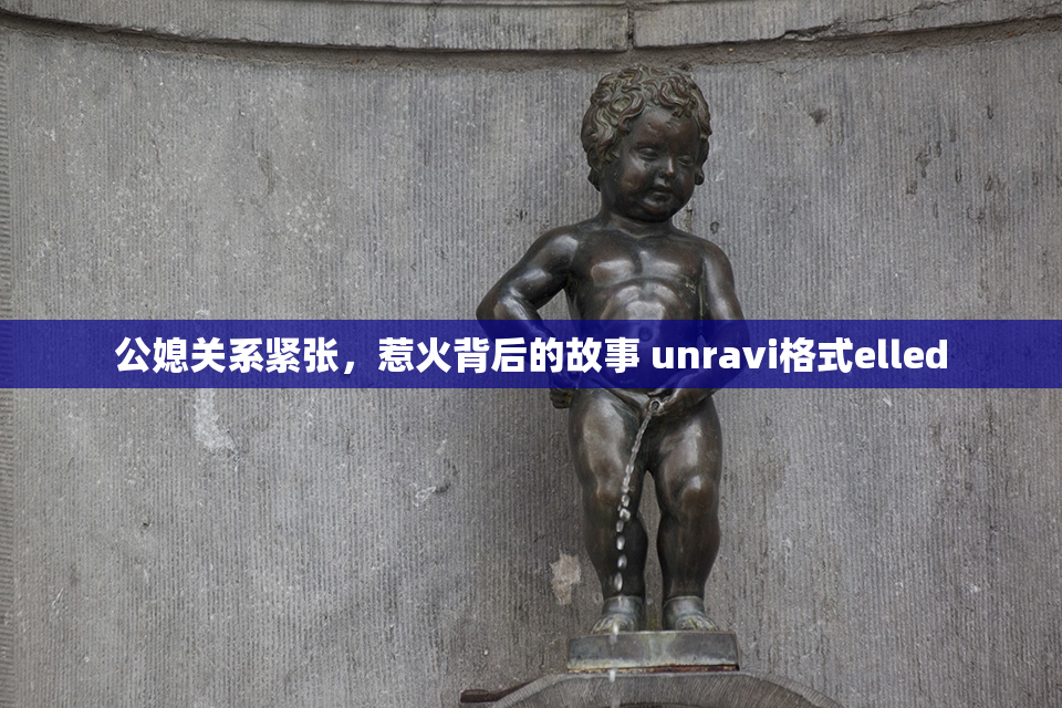 公媳关系紧张，惹火背后的故事 unravi格式elled