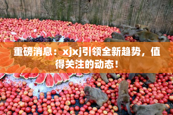 重磅消息：xjxj引领全新趋势，值得关注的动态！