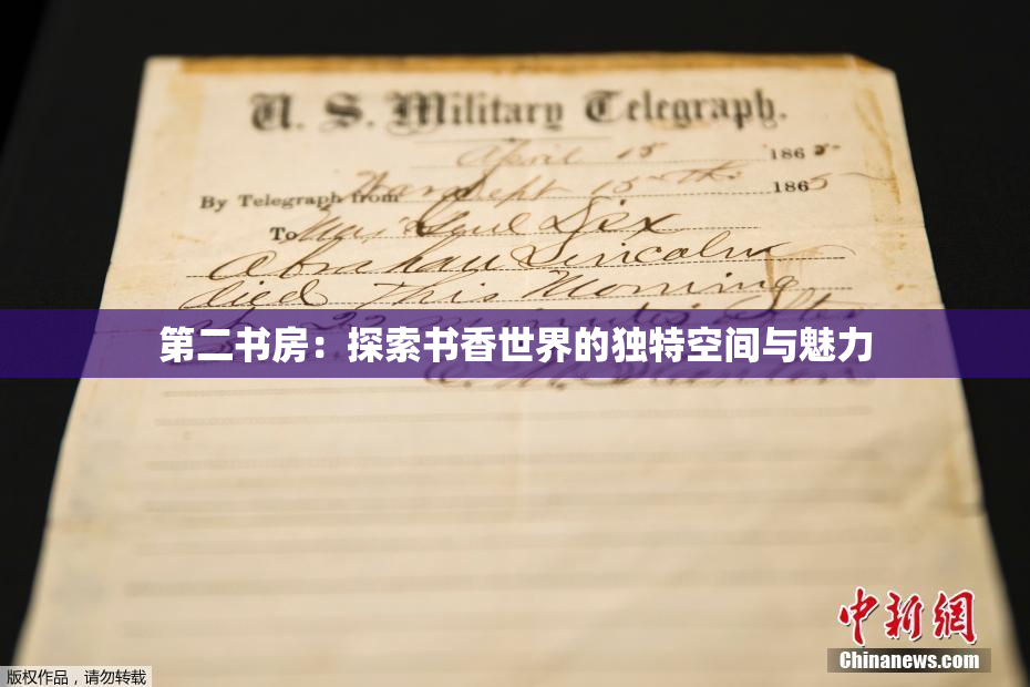 第二书房：探索书香世界的独特空间与魅力
