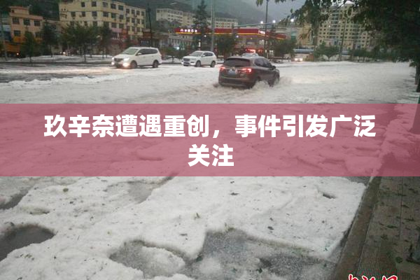 玖辛奈遭遇重创，事件引发广泛关注