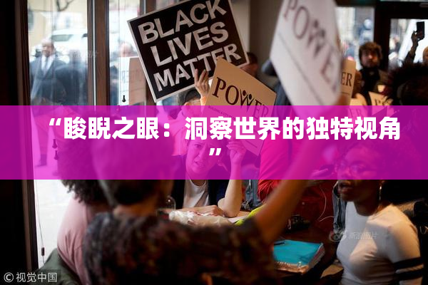 “睃睨之眼：洞察世界的独特视角”