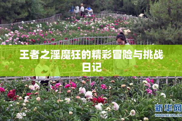王者之淫魔狂的精彩冒险与挑战日记