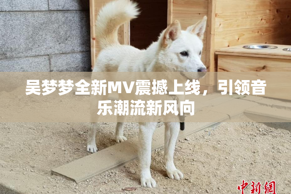 吴梦梦全新MV震撼上线，引领音乐潮流新风向