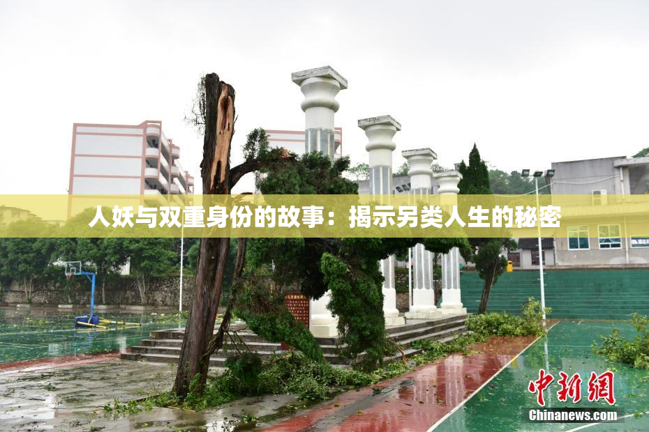 人妖与双重身份的故事：揭示另类人生的秘密
