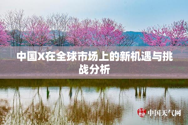 中国X在全球市场上的新机遇与挑战分析