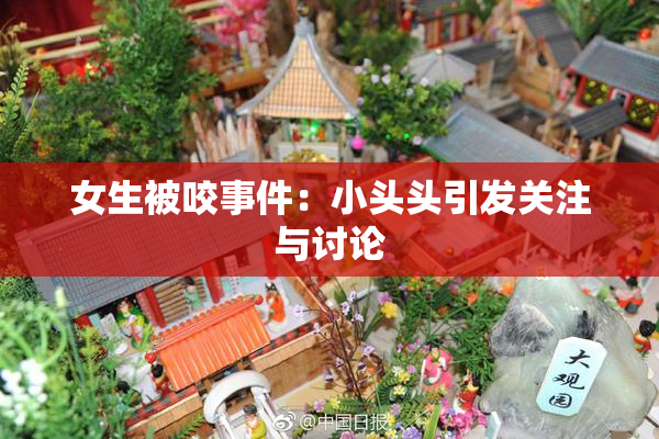 女生被咬事件：小头头引发关注与讨论