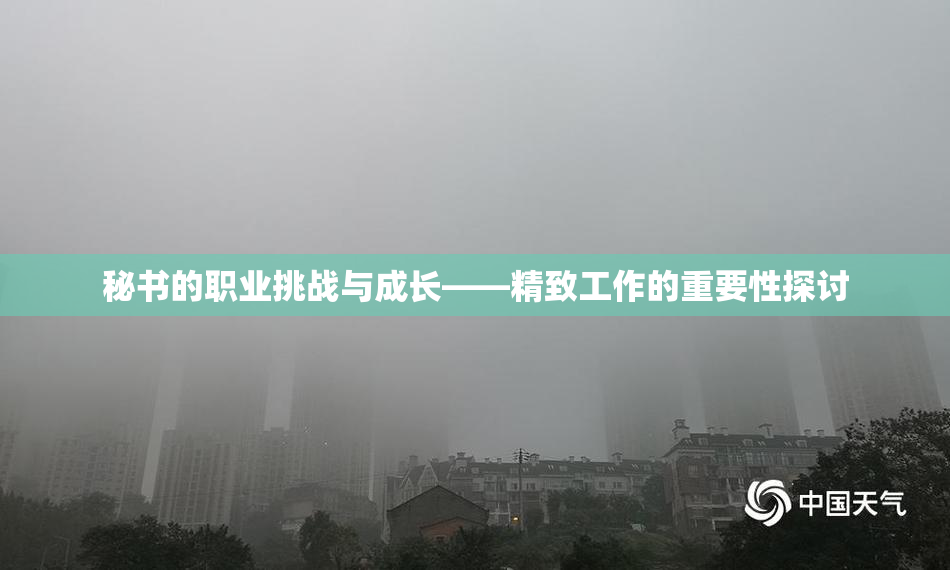 秘书的职业挑战与成长——精致工作的重要性探讨
