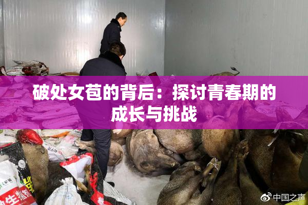 破处女苞的背后：探讨青春期的成长与挑战