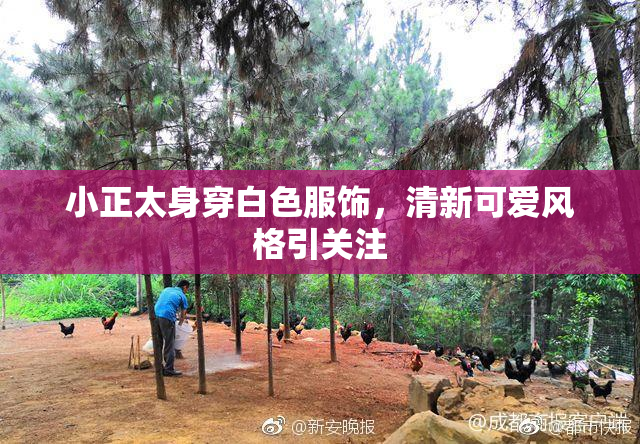 小正太身穿白色服饰，清新可爱风格引关注