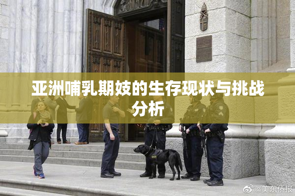 亚洲哺乳期妓的生存现状与挑战分析
