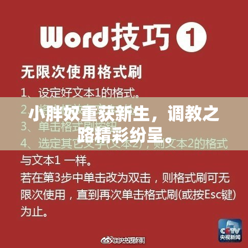 小胖奴重获新生，调教之路精彩纷呈。