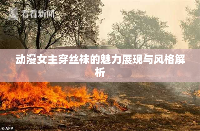 动漫女主穿丝袜的魅力展现与风格解析