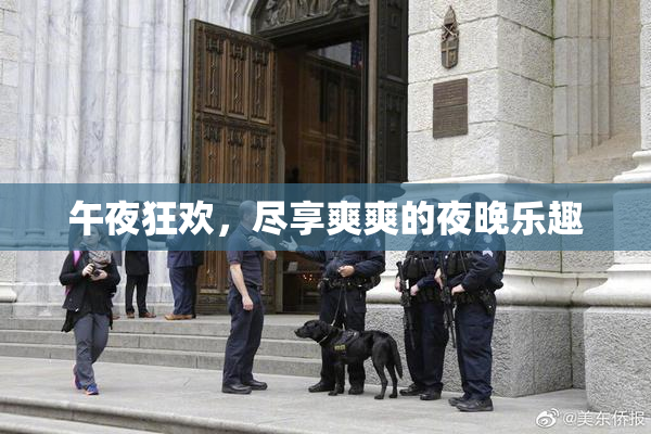 午夜狂欢，尽享爽爽的夜晚乐趣