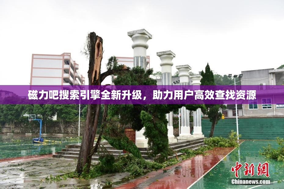 磁力吧搜索引擎全新升级，助力用户高效查找资源
