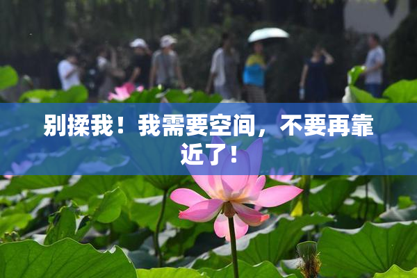 别揉我！我需要空间，不要再靠近了！