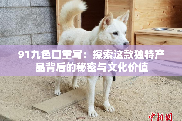 91九色口重写：探索这款独特产品背后的秘密与文化价值