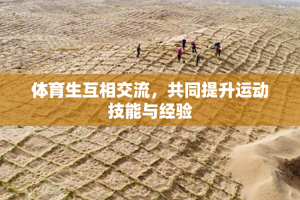 体育生互相交流，共同提升运动技能与经验