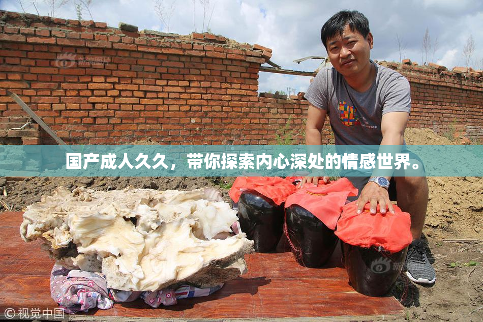 国产成人久久，带你探索内心深处的情感世界。
