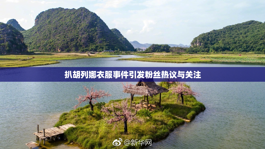 扒胡列娜衣服事件引发粉丝热议与关注