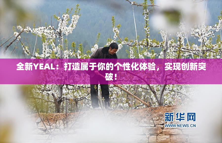 全新YEAL：打造属于你的个性化体验，实现创新突破！