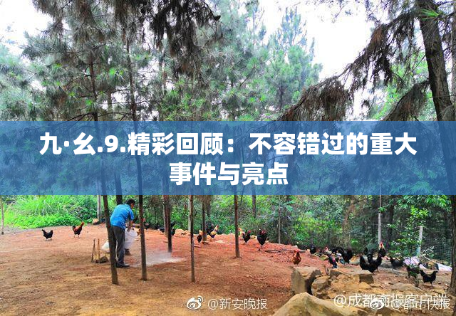 九·幺.9.精彩回顾：不容错过的重大事件与亮点