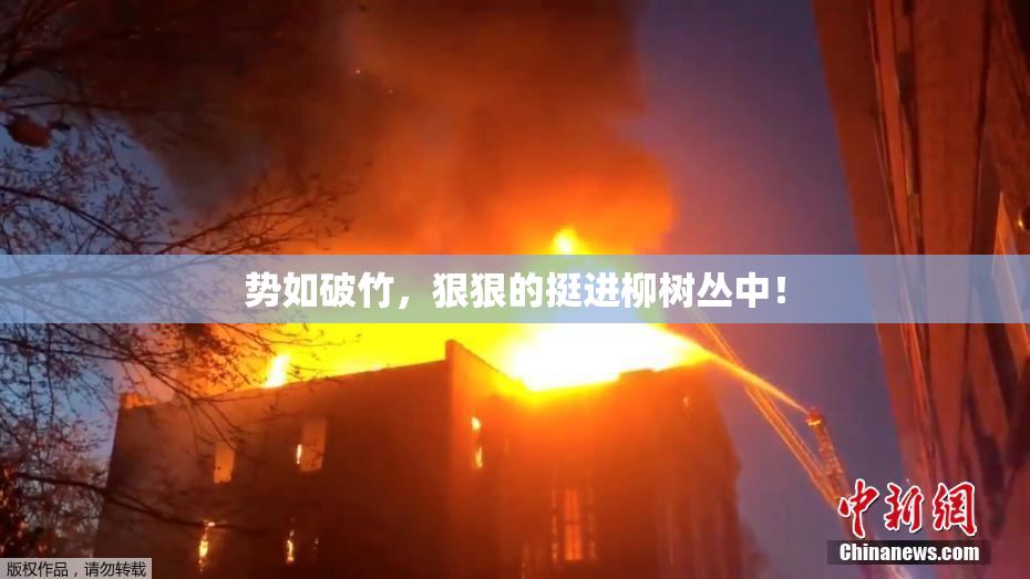 势如破竹，狠狠的挺进柳树丛中！