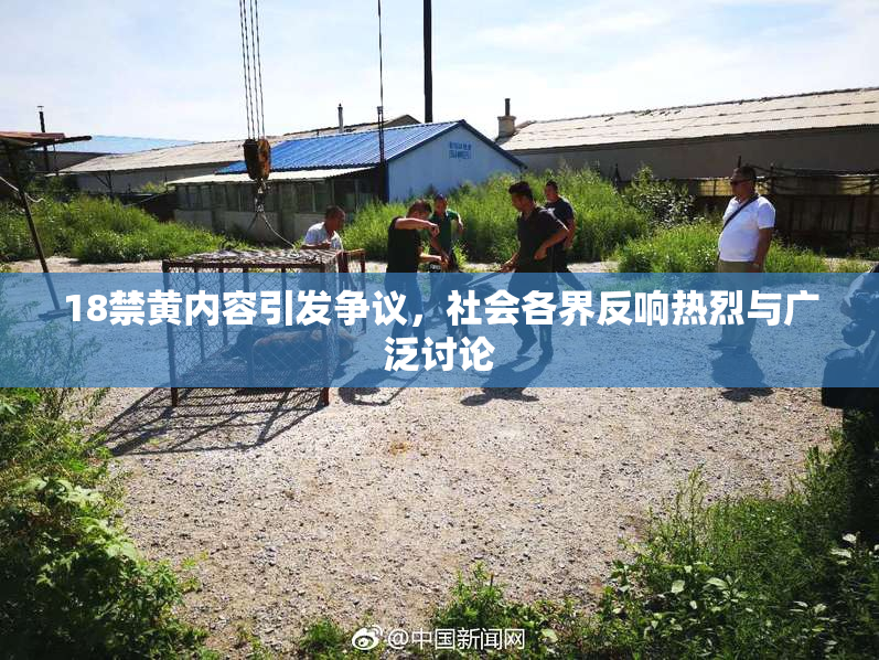 18禁黄内容引发争议，社会各界反响热烈与广泛讨论
