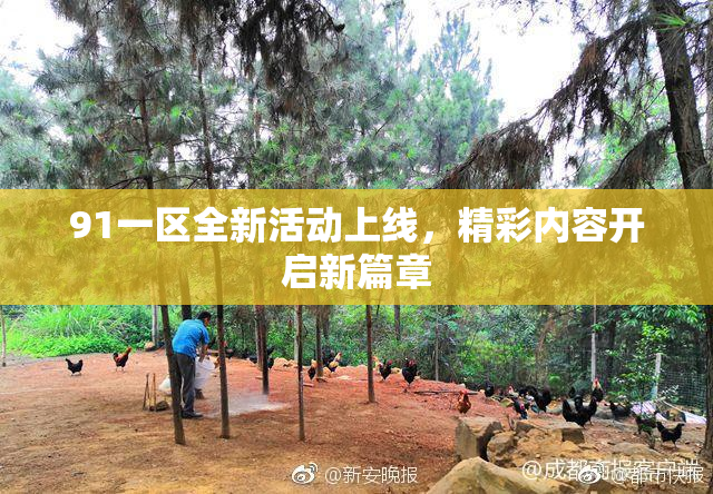 91一区全新活动上线，精彩内容开启新篇章