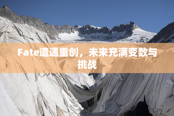 Fate遭遇重创，未来充满变数与挑战