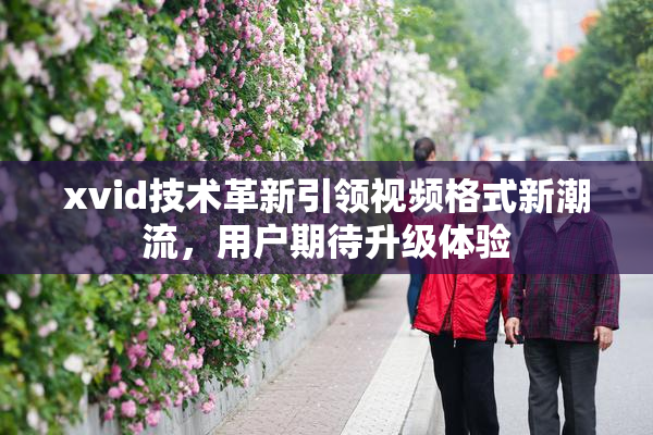 xvid技术革新引领视频格式新潮流，用户期待升级体验