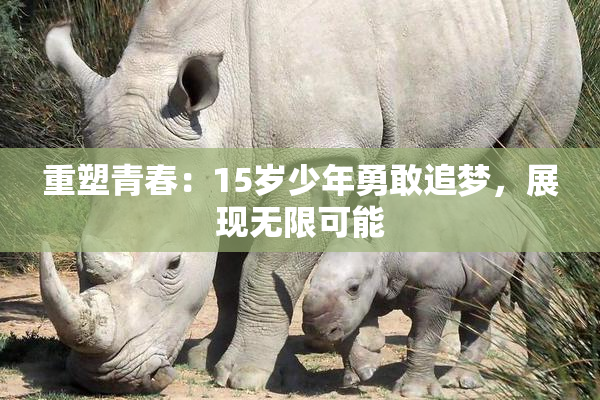 重塑青春：15岁少年勇敢追梦，展现无限可能