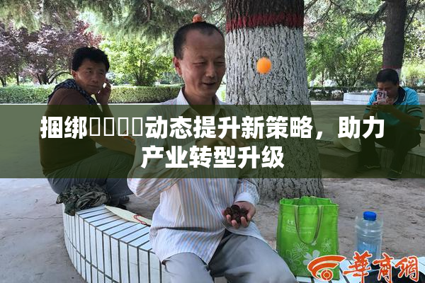 捆绑❌‌❌‌动态提升新策略，助力产业转型升级